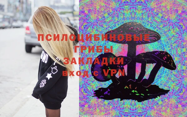 ECSTASY Магас