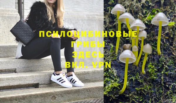 ECSTASY Магас