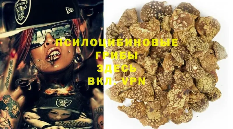 блэк спрут   Нововоронеж  Галлюциногенные грибы Magic Shrooms 