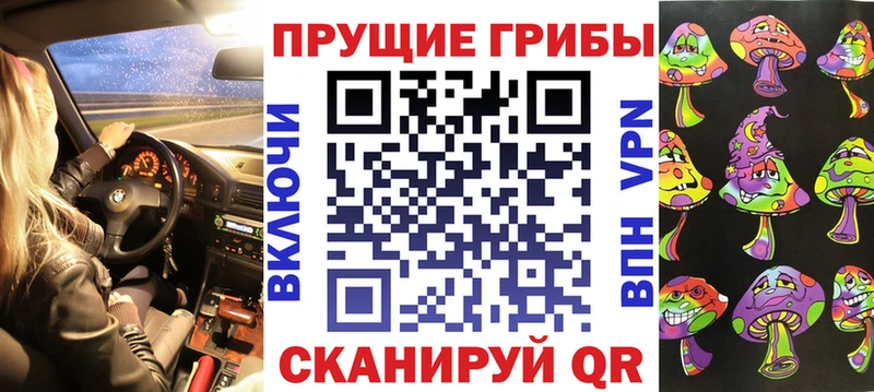 площадка телеграм  Нововоронеж  Псилоцибиновые грибы Psilocybine cubensis 