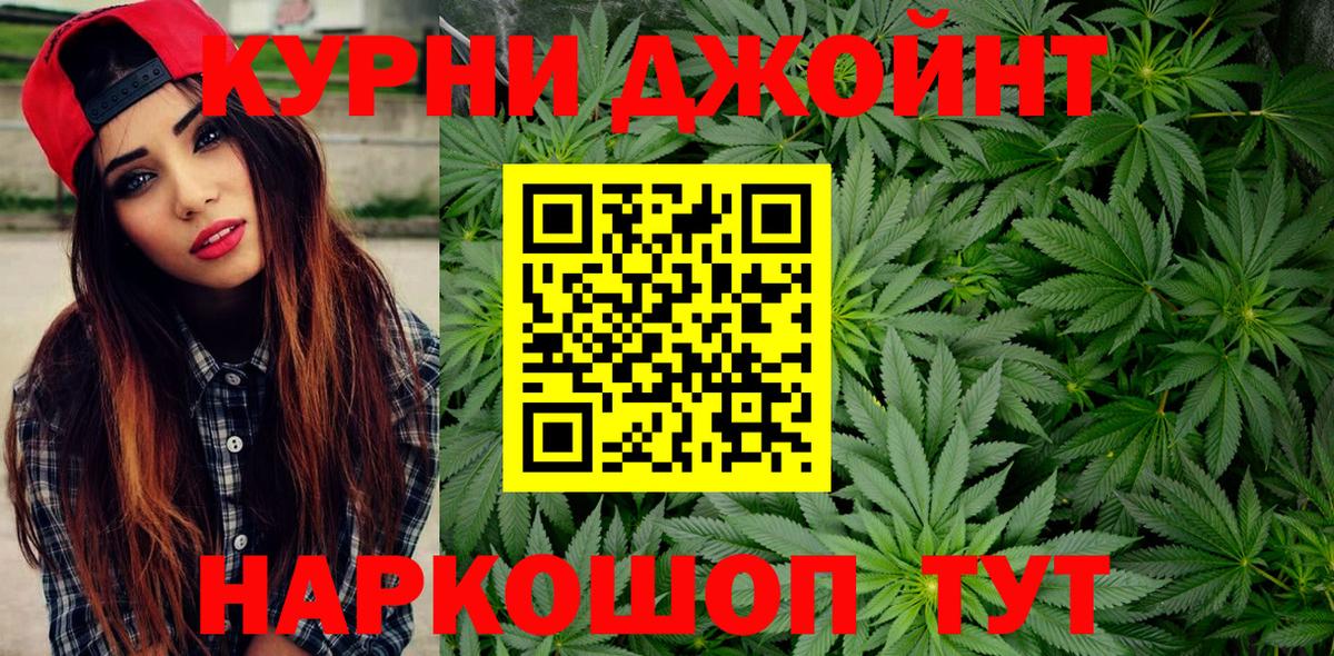 Каннабис OG Kush  Нововоронеж  Конопля сатива 