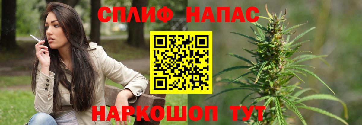 Конопля Нововоронеж